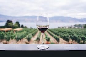 idea regalo hombre cata vinos